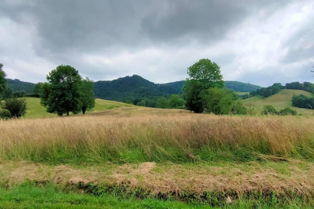 Montels Superbe Demeure Au Coeur Des Pyrenees Ariegeoises别墅 外观 照片